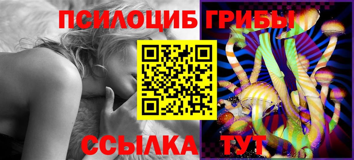 Иркутск  Псилоцибиновые грибы мухоморы  где купить наркотик  Вход с VPN 