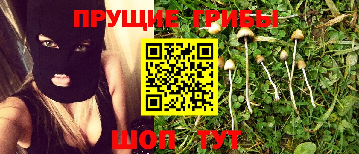 Псилоцибиновые грибы Psilocybine cubensis Иркутск