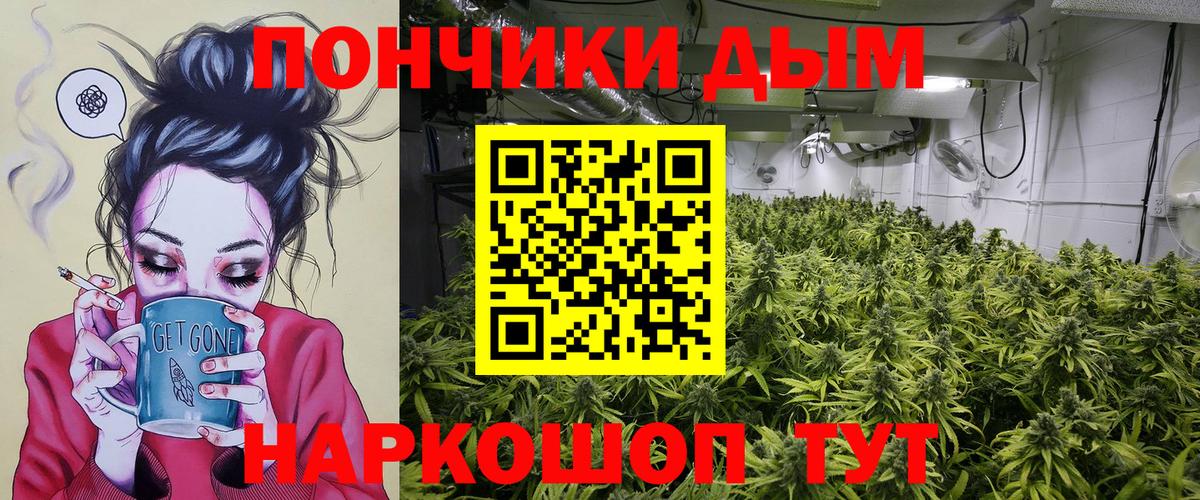 Конопля сатива  Бошки Шишки MAZAR  Иркутск  Вход с VPN 